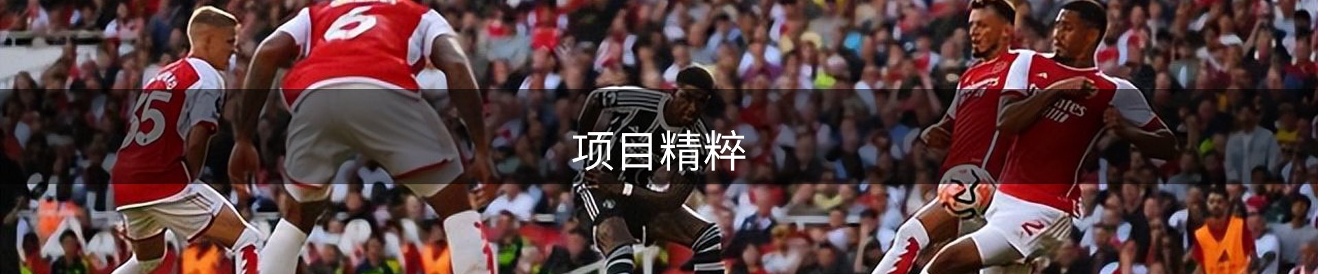 项目精粹